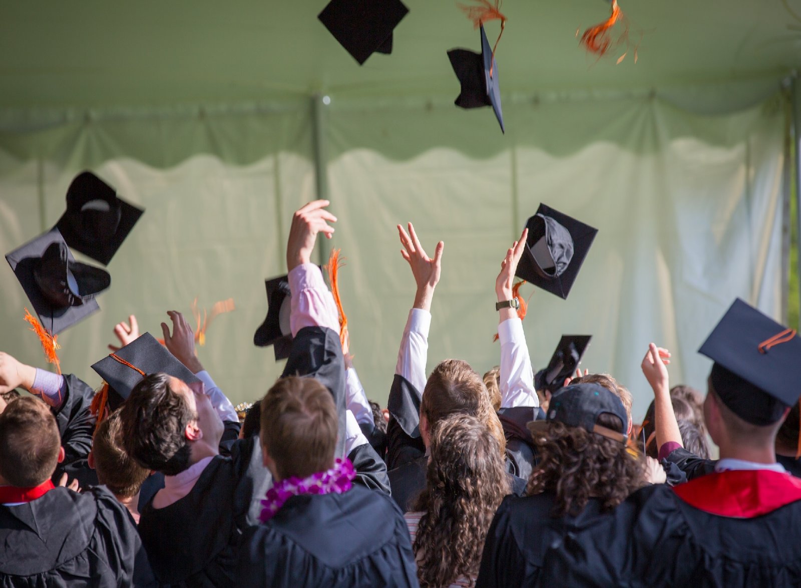 State-Sponsored Universities in the USA: Combating Unemployment through Education